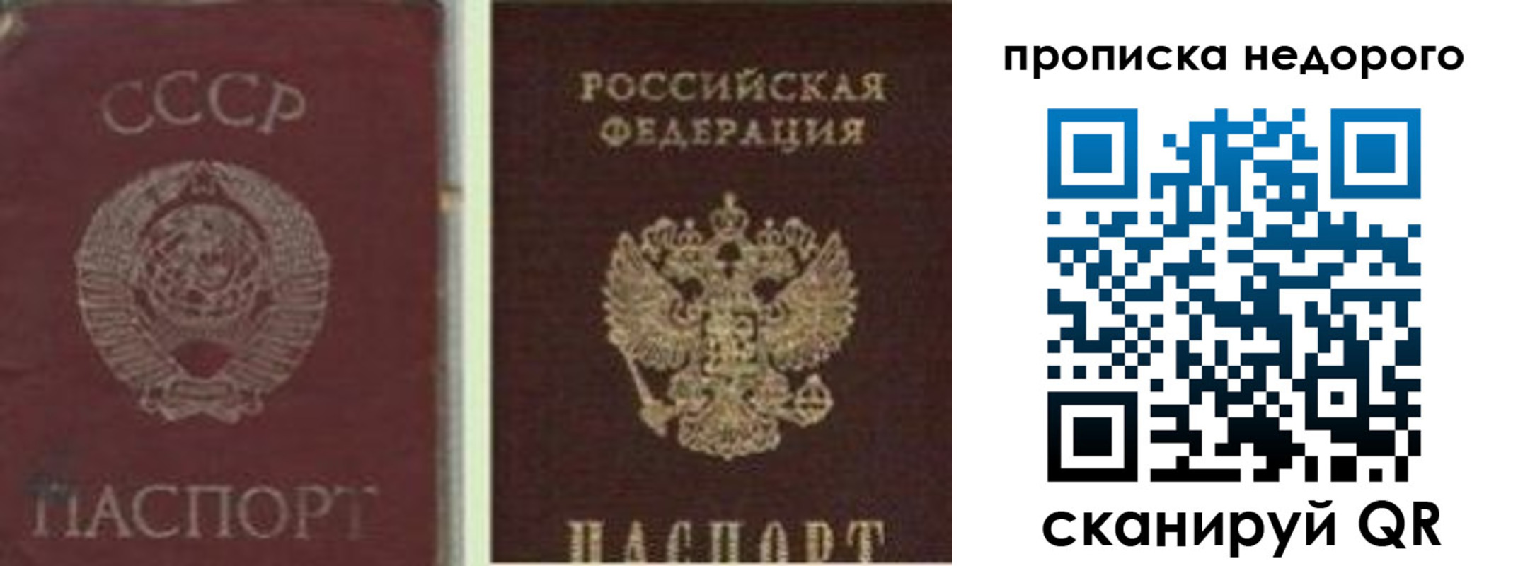 временная регистрация поиск в Партизанске